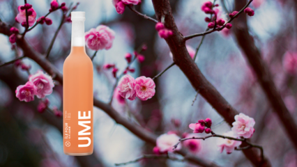 Ile Four UME Plommon Sake Japan